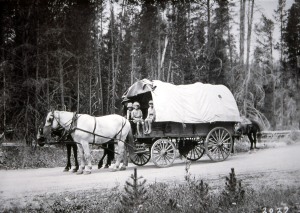 Horse & covered wagon;Historic photo # 114,049;Around 1924